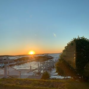 Meet your Posher, Xander